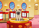 Petz Fashion