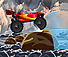 Rave Rider
